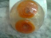 meia bola com rosa dentro